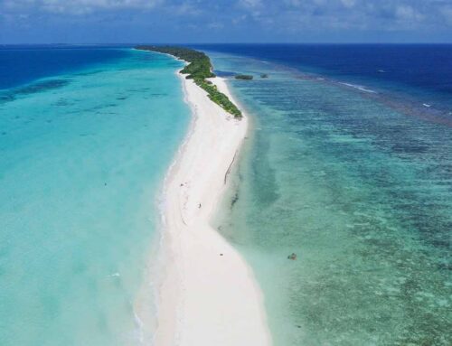 Informazioni per Dhigurah: Maldive fai da te